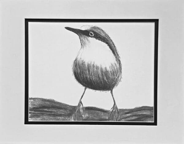 A black and white drawing of a bird