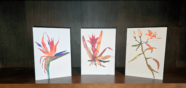 Three cards with a bird of paradise flower on them.