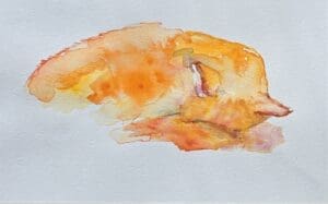 Cat with white background painting