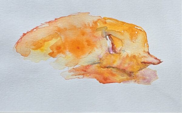 Sunlit Slumber